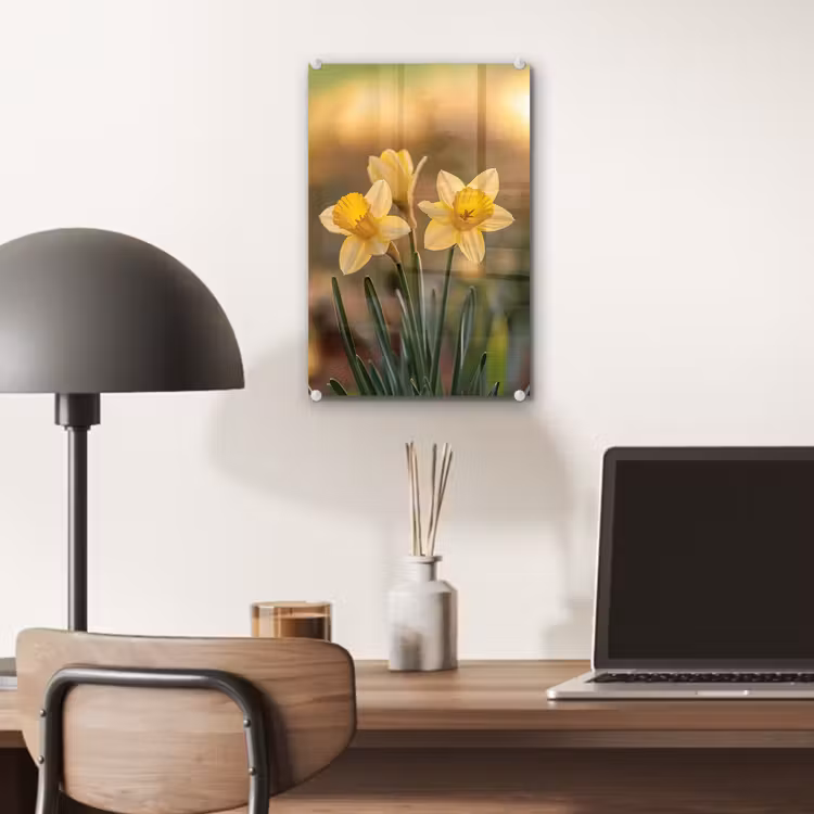 Glas schilderij - Bloemen - Geel - Wazig — 7