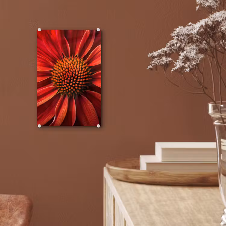 Glas schilderij - Close up - Bloem- Rood — 6