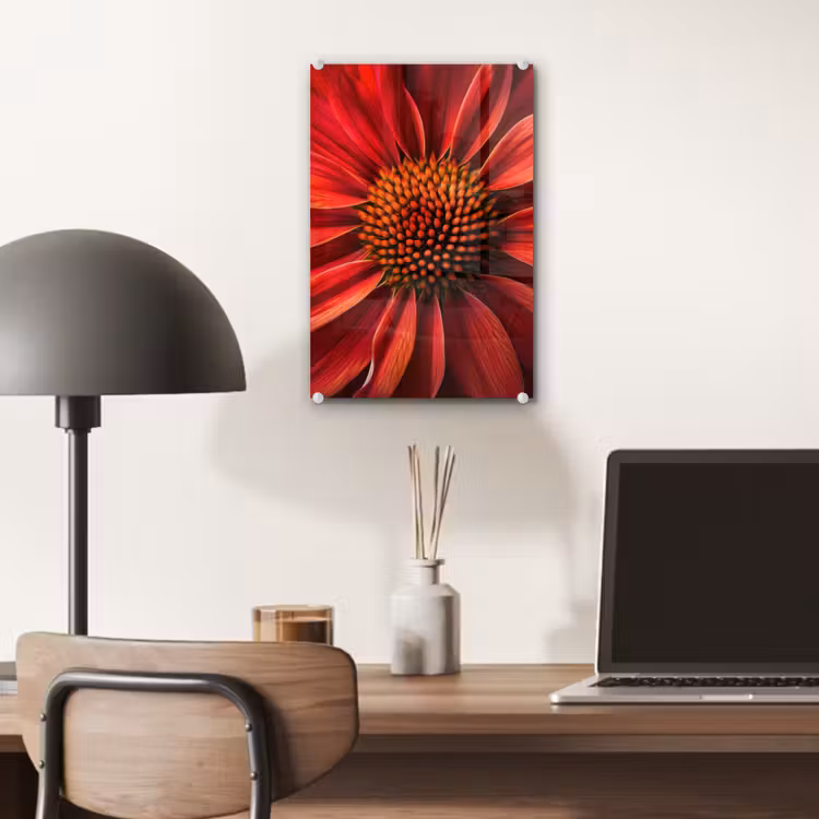 Glas schilderij - Close up - Bloem- Rood — 7