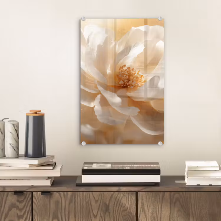 Glas schilderij - Close up - Pioenroos - Wit — 2