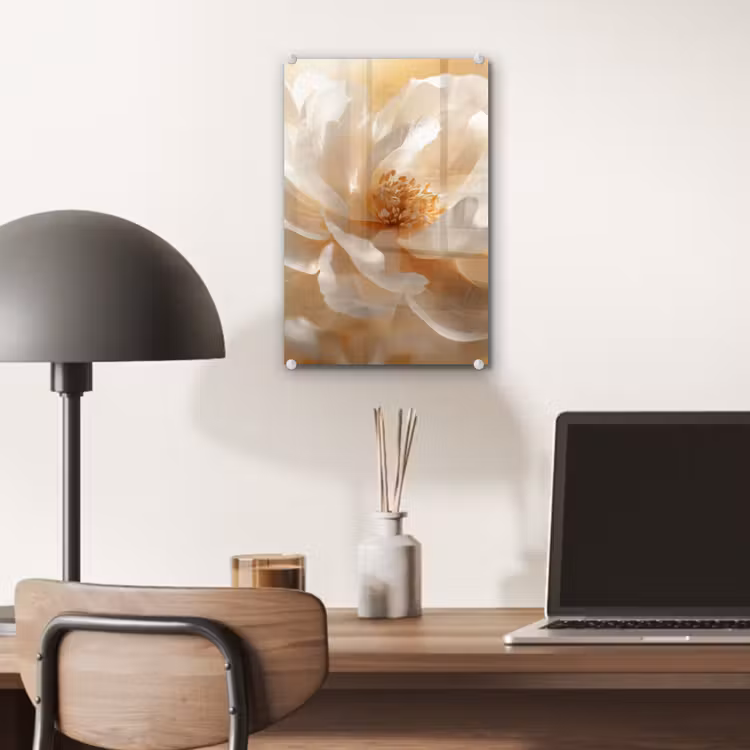 Glas schilderij - Close up - Pioenroos - Wit — 7