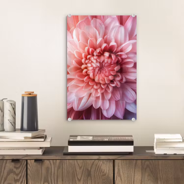 Glas schilderij - Dahlia - Bloem - Close up - Roze — 2