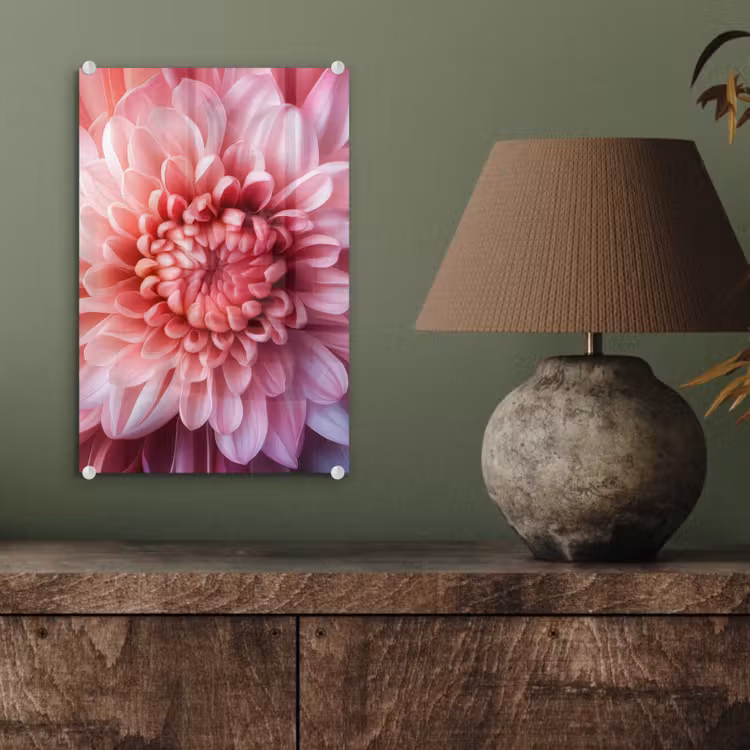 Glas schilderij - Dahlia - Bloem - Close up - Roze — 4