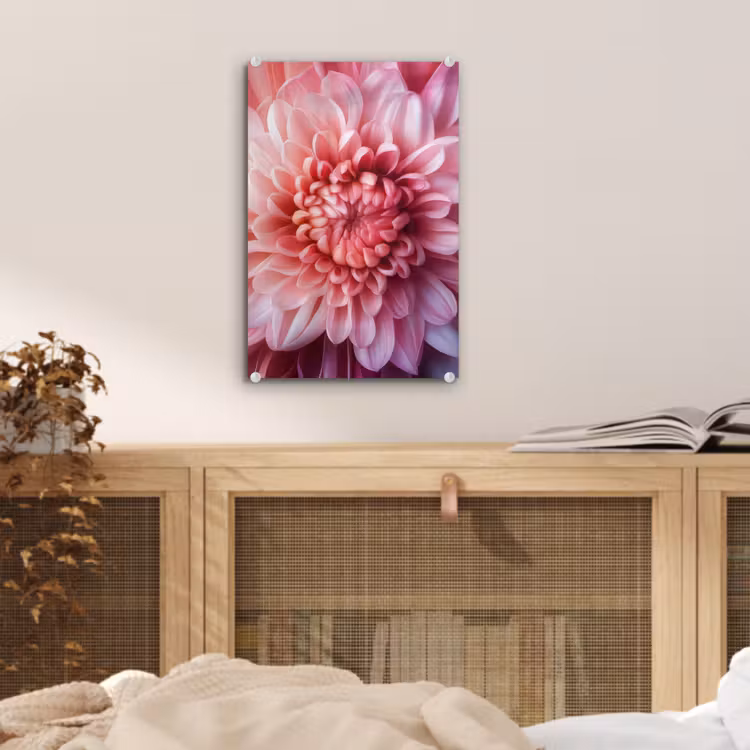 Glas schilderij - Dahlia - Bloem - Close up - Roze — 5