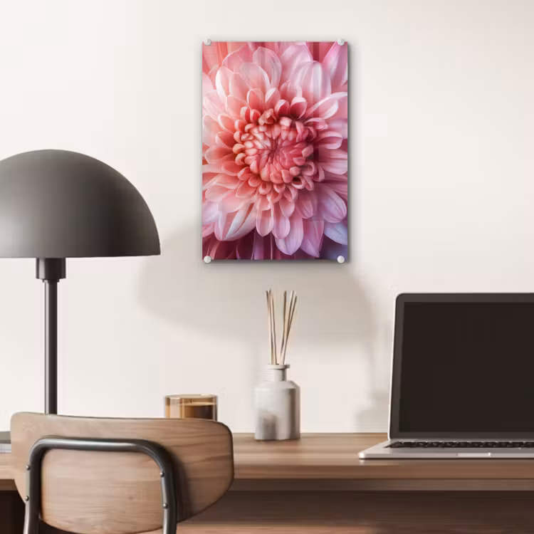 Glas schilderij - Dahlia - Bloem - Close up - Roze — 7