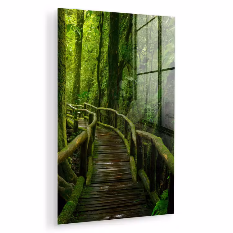Glas schilderij - Jungle - Brug - Mos - Natuur - Tropisch — 1