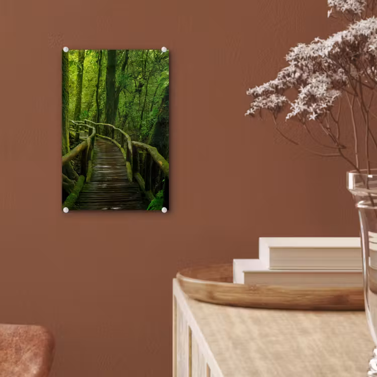 Glas schilderij - Jungle - Brug - Mos - Natuur - Tropisch — 6