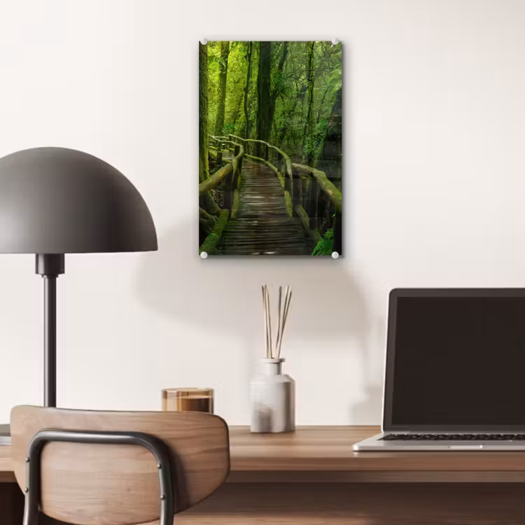 Glas schilderij - Jungle - Brug - Mos - Natuur - Tropisch — 7