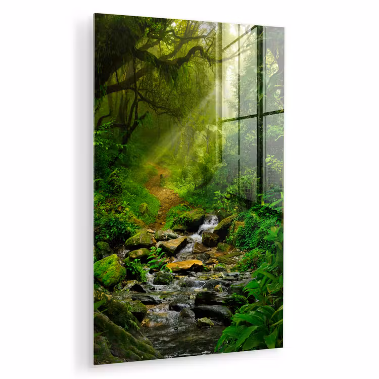 Glas schilderij - Jungle - Water - Bladeren - Zon - Natuur — 1