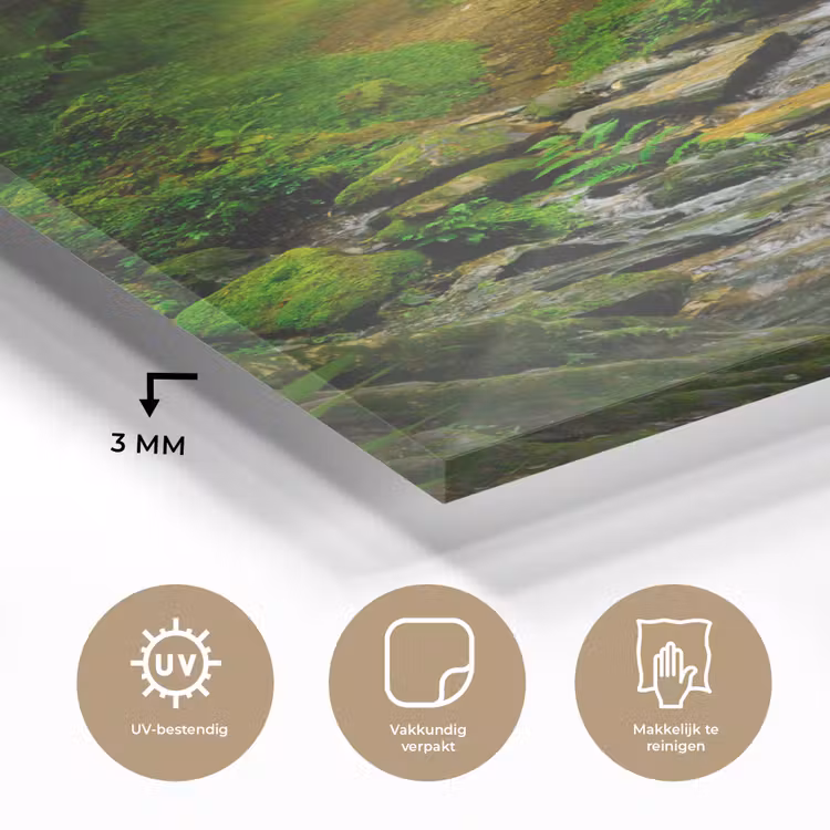 Glas schilderij - Jungle - Water - Bladeren - Zon - Natuur — 3