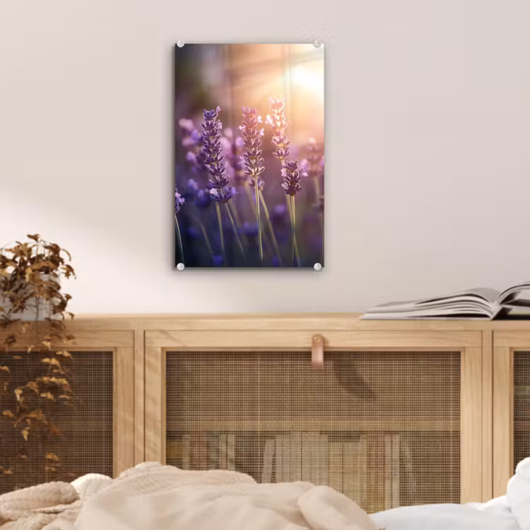 Glas schilderij - Lavendelbloemen - Paars - Zonlicht — 5