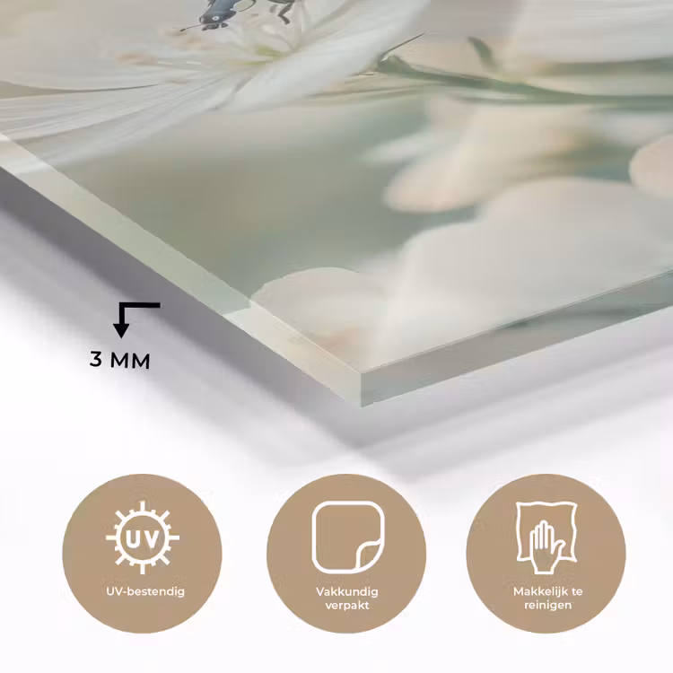 Glas schilderij - Lieveheersbeestje - Bloemen - Wit — 3