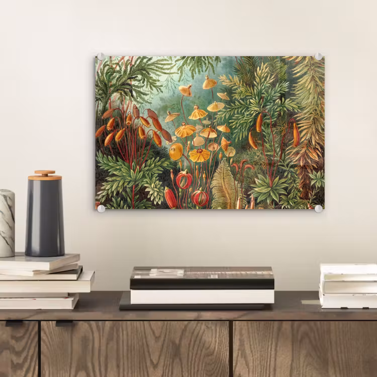 Glas schilderij - Design - Natuur - Paddenstoelen - Ernst Haeckel — 1
