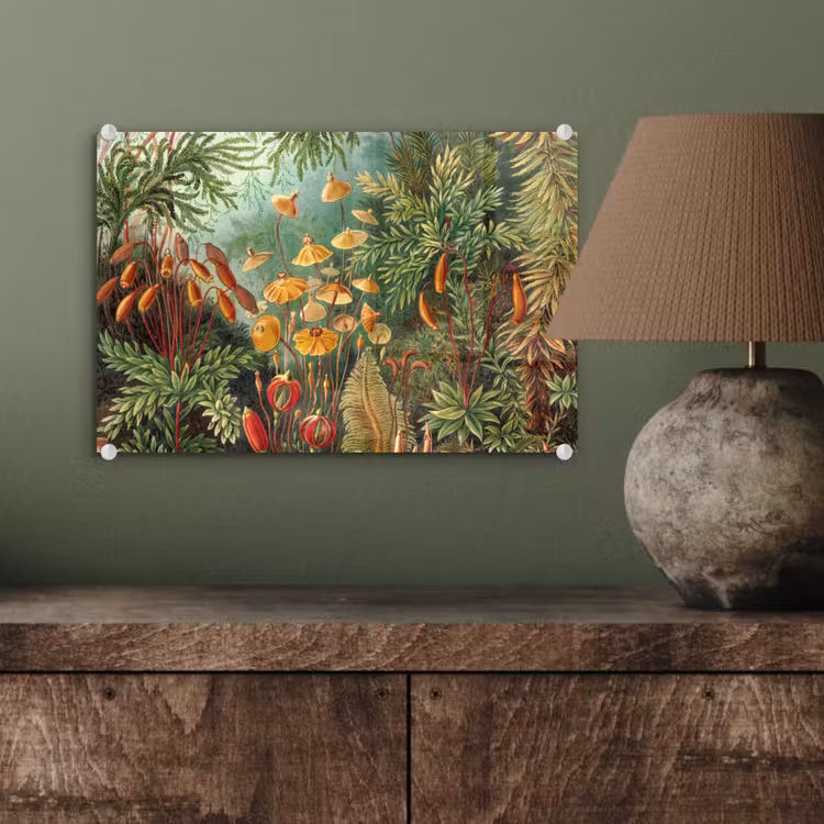 Glas schilderij - Design - Natuur - Paddenstoelen - Ernst Haeckel — 3