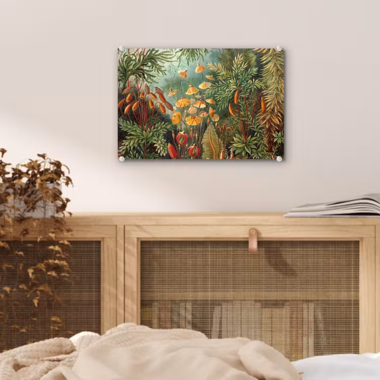 Glas schilderij - Design - Natuur - Paddenstoelen - Ernst Haeckel — 4