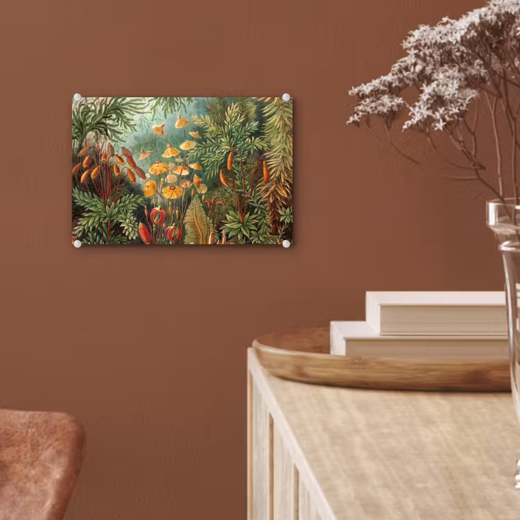 Glas schilderij - Design - Natuur - Paddenstoelen - Ernst Haeckel — 5