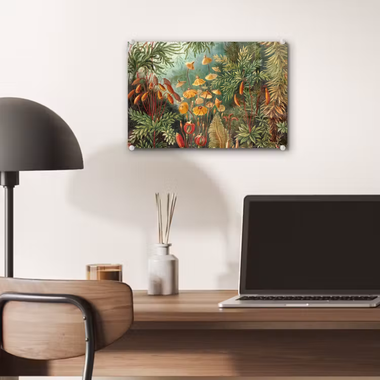Glas schilderij - Design - Natuur - Paddenstoelen - Ernst Haeckel — 6