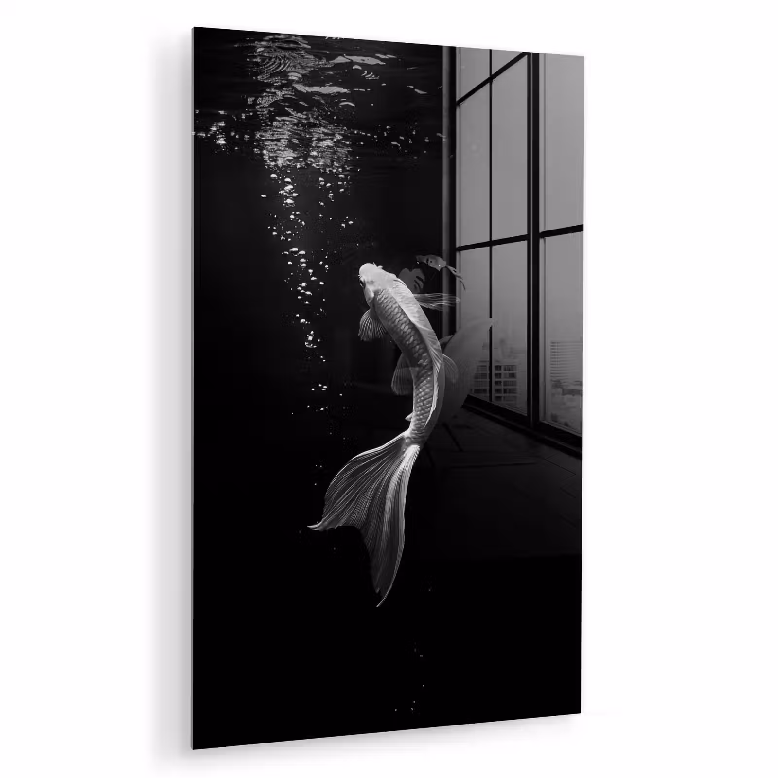 Glas schilderij - Koi - Vis - Wit - Zwart — 1