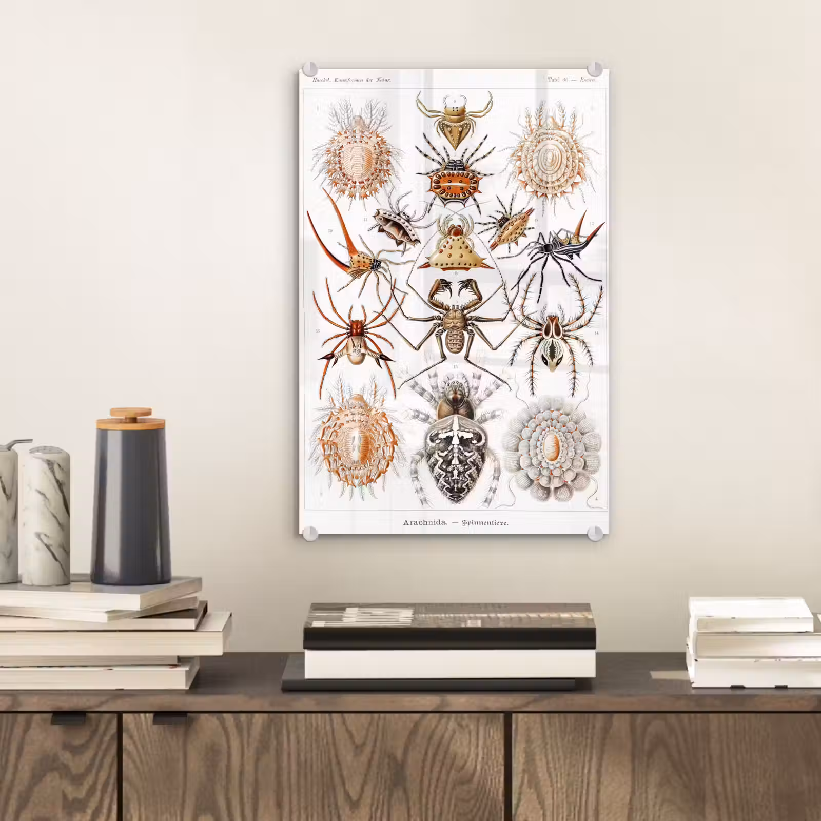 Glas schilderij - Retro - Spin - Ernst Haeckel - Spinnen — 1