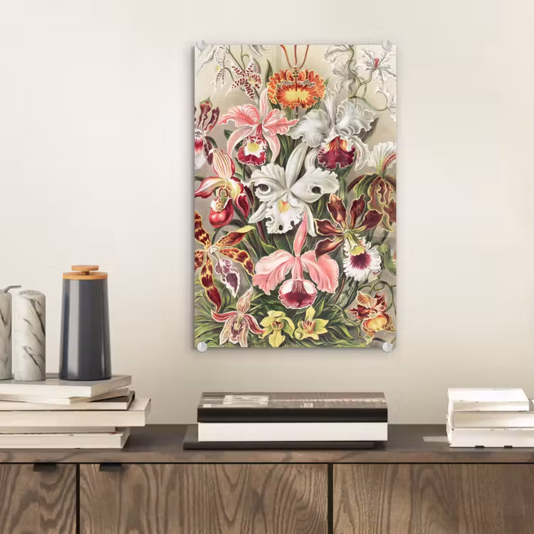 Glas schilderij - Bloemen - Ernst Haeckel - Vintage - Orchidee — 1