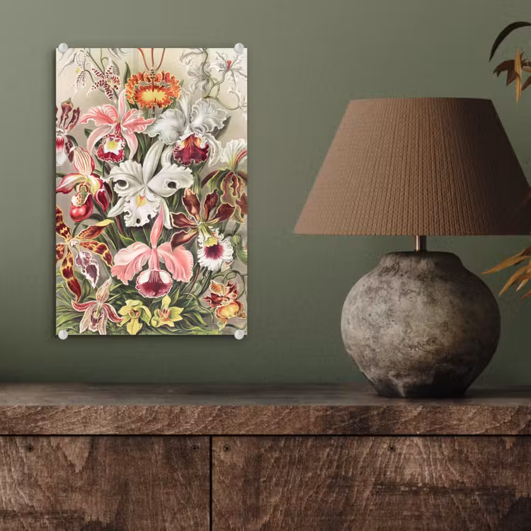 Glas schilderij - Bloemen - Ernst Haeckel - Vintage - Orchidee — 3