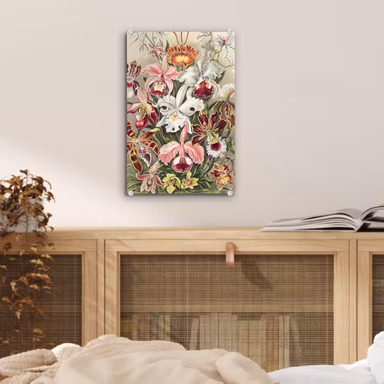 Glas schilderij - Bloemen - Ernst Haeckel - Vintage - Orchidee — 4