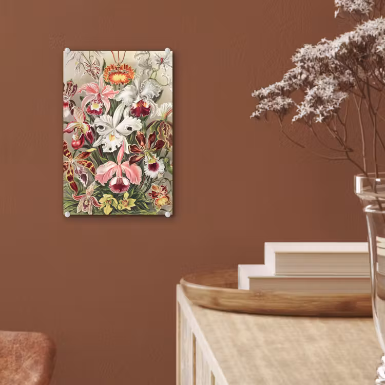 Glas schilderij - Bloemen - Ernst Haeckel - Vintage - Orchidee — 5
