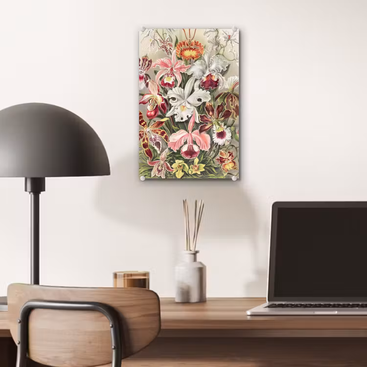 Glas schilderij - Bloemen - Ernst Haeckel - Vintage - Orchidee — 6