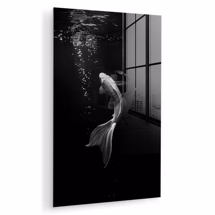Glas schilderij - Koi - Vis - Wit - Zwart — 1