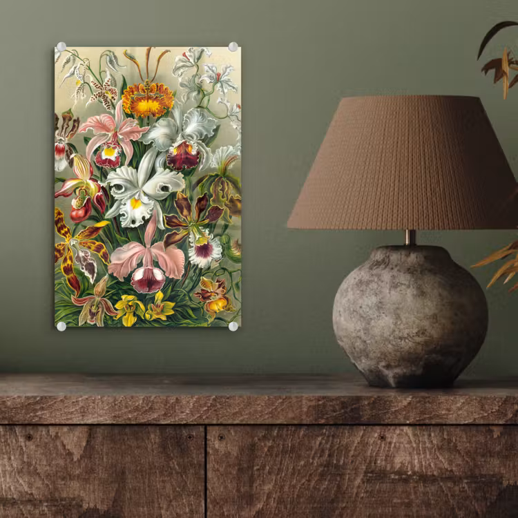 Glas schilderij - Planten - Natuur - Bloemen - Ernst Haeckel — 3