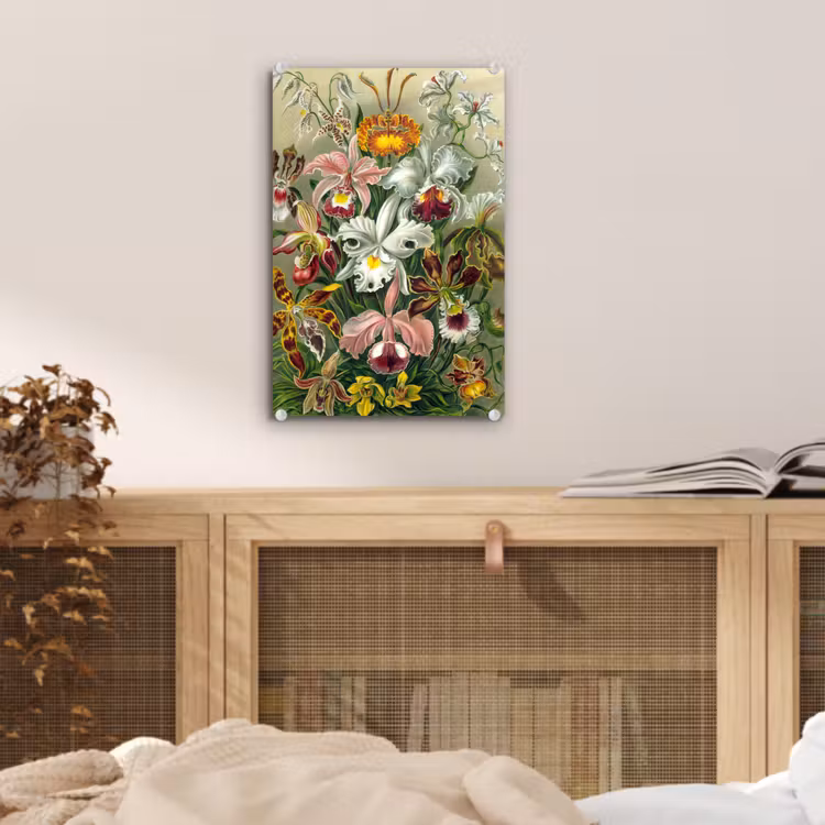 Glas schilderij - Planten - Natuur - Bloemen - Ernst Haeckel — 4