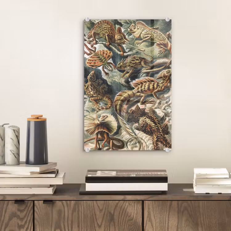 Glas schilderij - Vintage - Kunst - Ernst Haeckel - Salamanders - Dieren — 1