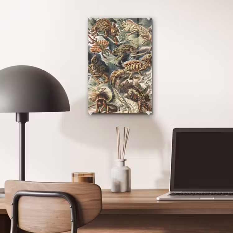 Glas schilderij - Vintage - Kunst - Ernst Haeckel - Salamanders - Dieren — 6