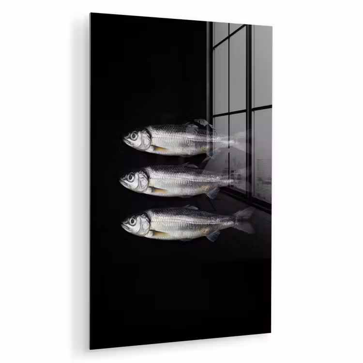 Glas schilderij - Haring - Vissen - Zwart — 1