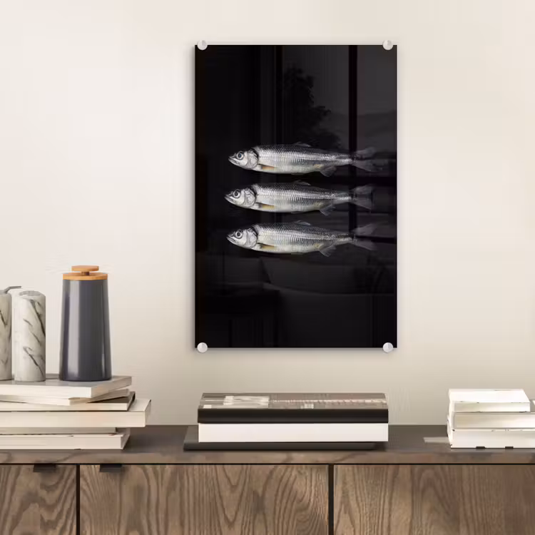Glas schilderij - Haring - Vissen - Zwart — 2