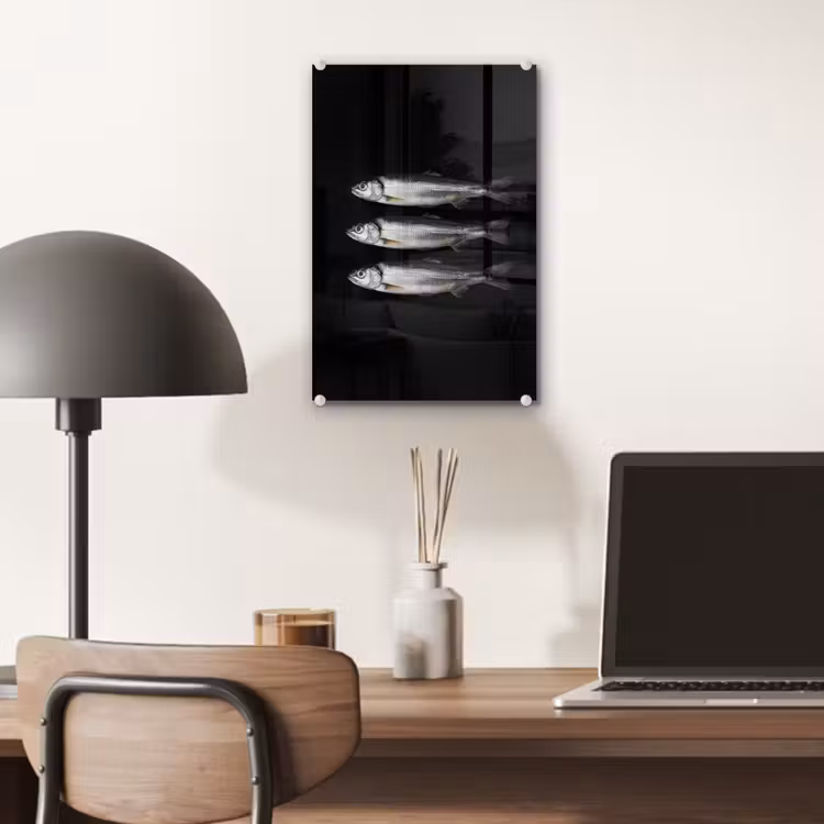 Glas schilderij - Haring - Vissen - Zwart — 7
