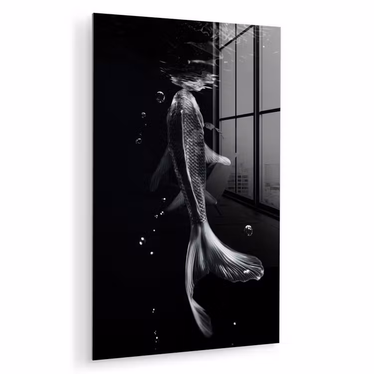 Glas schilderij - Koi - Vissen - Water - Zwart — 1