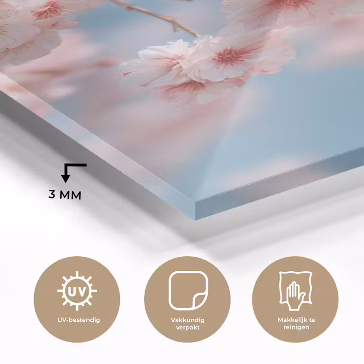 Glas schilderij - Takken - Bloesems - Roze — 3