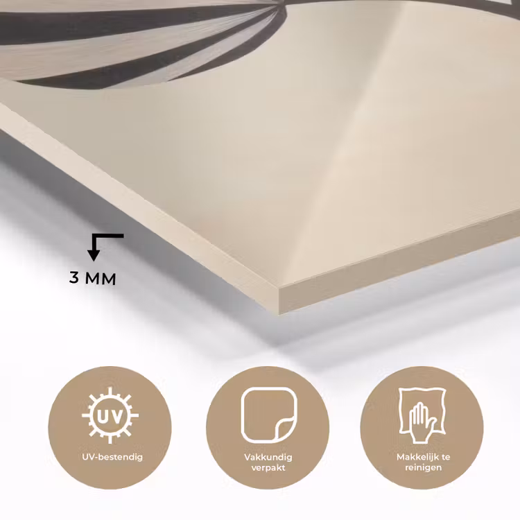 Glas schilderij - Bladeren - Gestreept - Stengel - Beige — 3