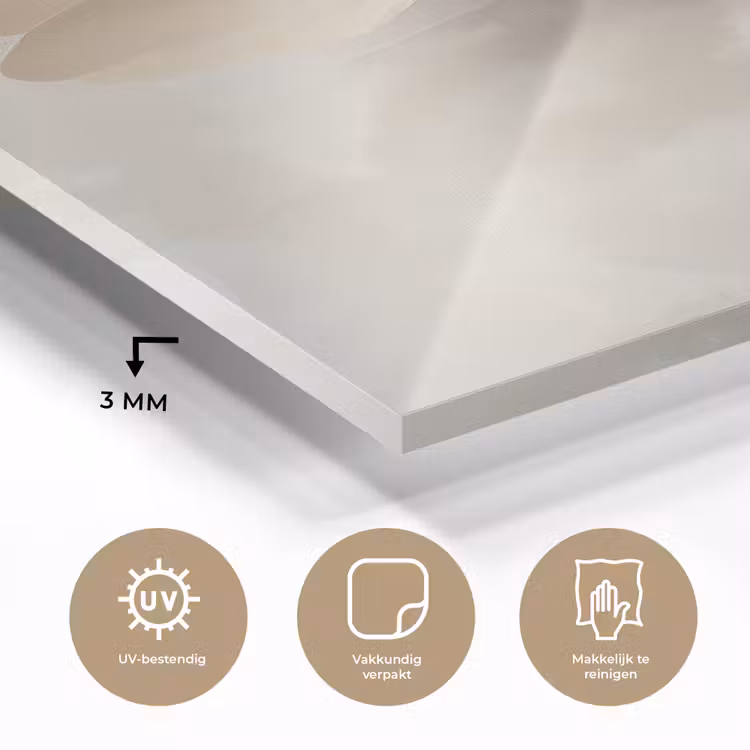 Glas schilderij - Bloem - Beige - Verf - Schaduw — 3