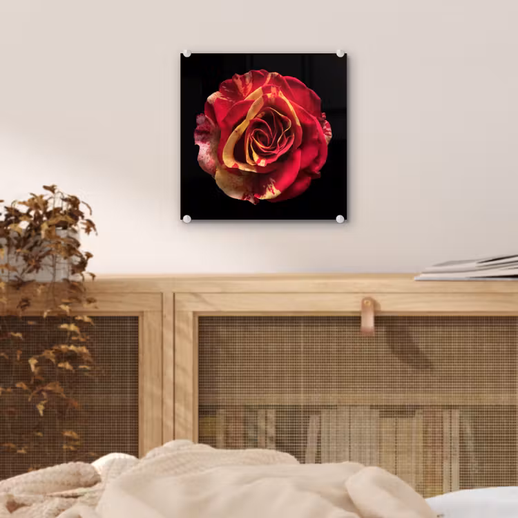 Glas schilderij - Bloem - Roos - Rood - Zwart — 5