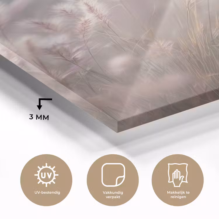 Glas schilderij - Graspluimen - Wind - Beige - Mistig — 3