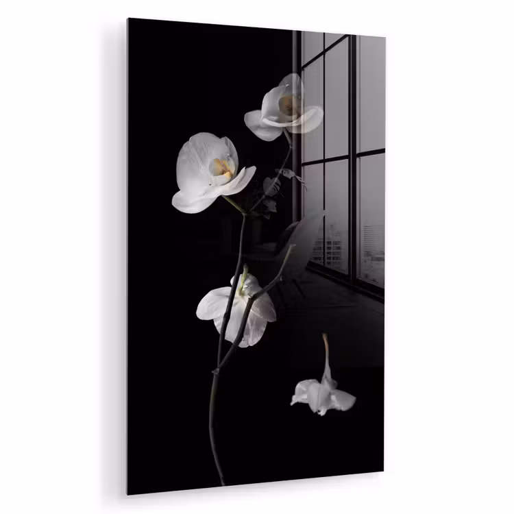 Glas schilderij - Orchidee - Bloemen - Zwart - Wit - Stilleven — 1
