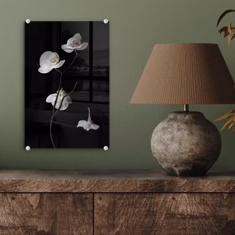 Glas schilderij - Orchidee - Bloemen - Zwart - Wit - Stilleven — 4