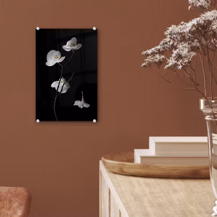 Glas schilderij - Orchidee - Bloemen - Zwart - Wit - Stilleven — 6