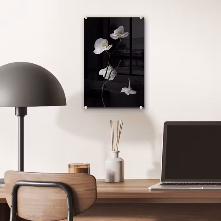 Glas schilderij - Orchidee - Bloemen - Zwart - Wit - Stilleven — 7