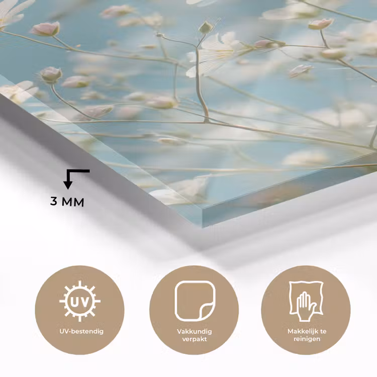 Glas schilderij - Stengels - Bloemen - Lucht - Wit — 3