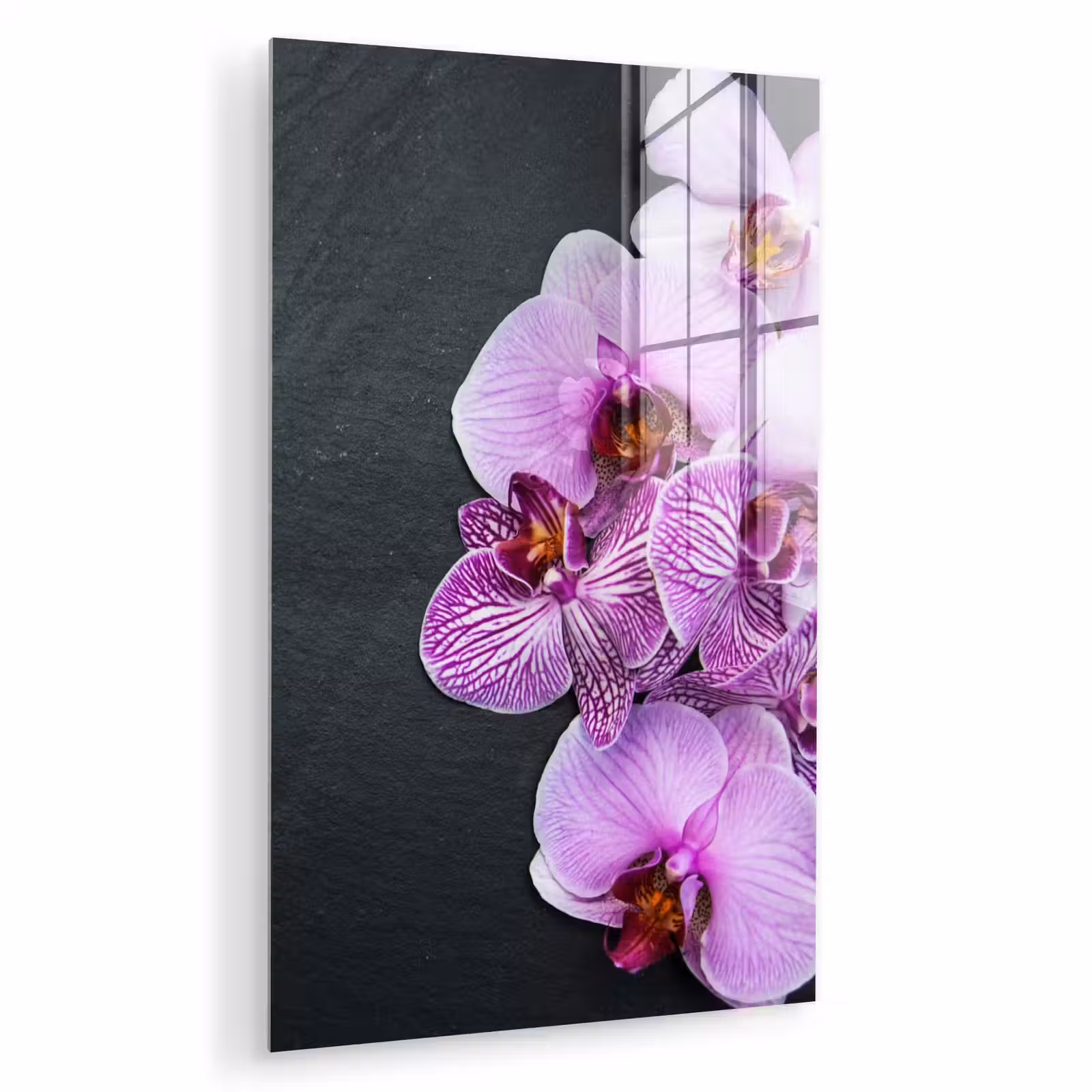 Glas schilderij - Orchidee - Bloemen - Roze - Flora — 1
