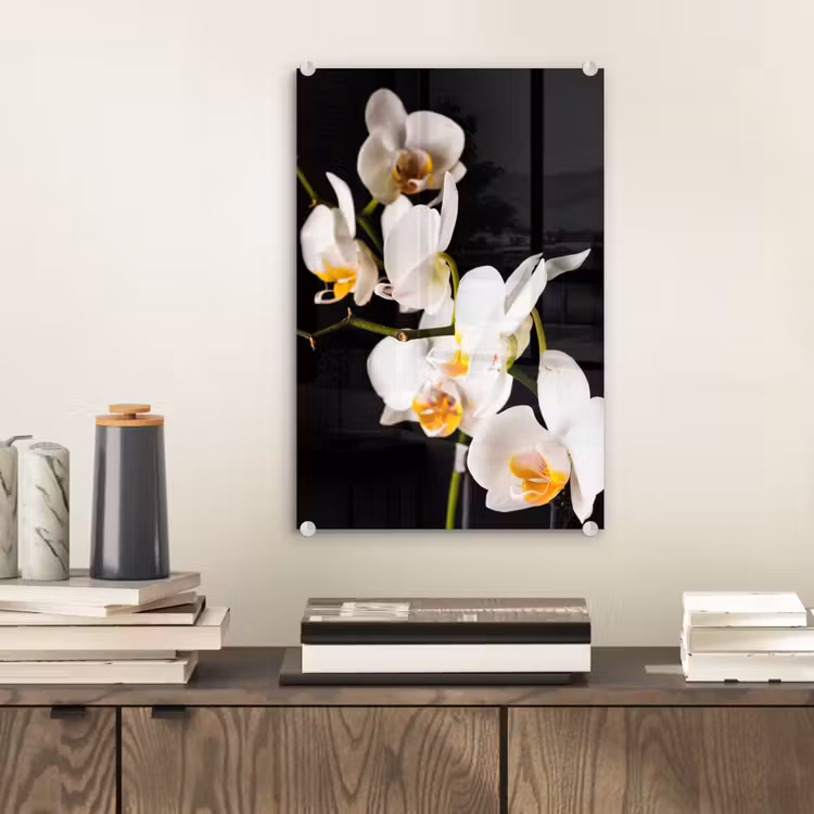Glas schilderij - Orchidee - Bloemen - Planten - Botanisch — 2