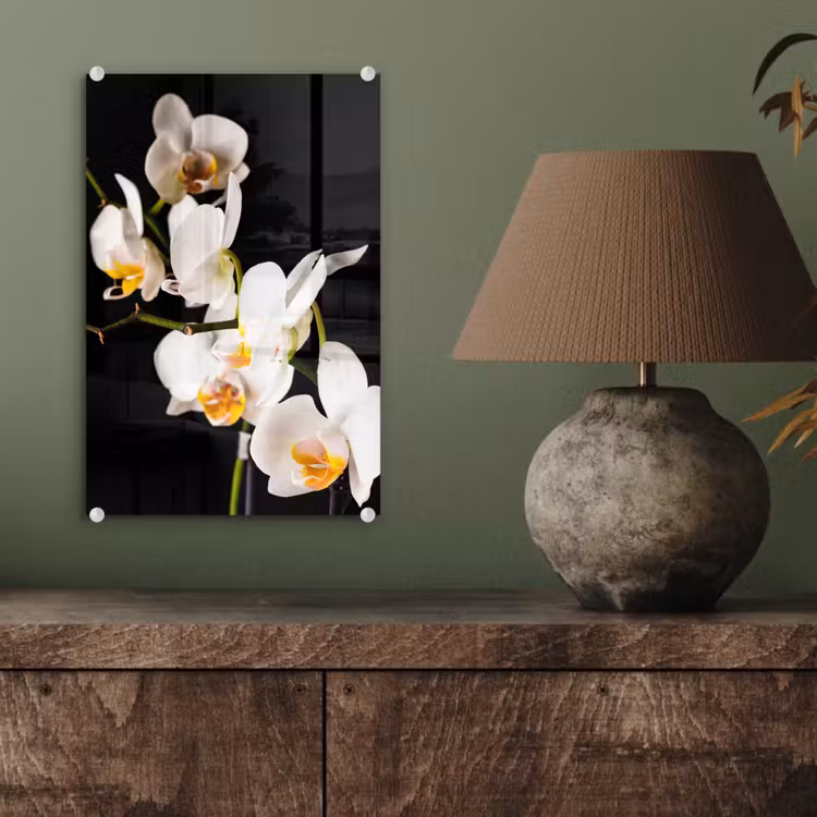 Glas schilderij - Orchidee - Bloemen - Planten - Botanisch — 4